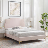 Lindsey Performance Velvet Queen Platform Bed Pink MOD-6703-PNK