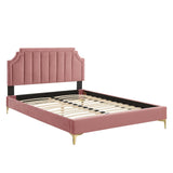 Modway Furniture Sienna Performance Velvet Queen Platform Bed MOD-6712-DUS