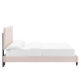 Modway Furniture Current Performance Velvet Twin Platform Bed XRXT Pink MOD-6728-PNK