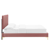 Modway Furniture Current Performance Velvet Queen Platform Bed XRXT Dusty Rose MOD-6733-DUS