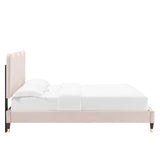 Modway Furniture Current Performance Velvet Queen Platform Bed XRXT PINK MOD-6734-PNK