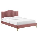 Juniper Channel Tufted Performance Velvet Queen Platform Bed Dusty Rose MOD-6739-DUS