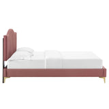 Juniper Channel Tufted Performance Velvet Queen Platform Bed Dusty Rose MOD-6739-DUS