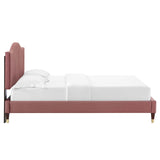 Juniper Channel Tufted Performance Velvet Queen Platform Bed Dusty Rose MOD-6740-DUS