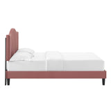 Juniper Channel Tufted Performance Velvet Queen Platform Bed Dusty Rose MOD-6741-DUS