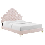 Gwyneth Tufted Performance Velvet Queen Platform Bed Pink MOD-6751-PNK