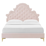 Gwyneth Tufted Performance Velvet Queen Platform Bed Pink MOD-6751-PNK