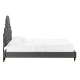 Gwyneth Tufted Performance Velvet Queen Platform Bed Charcoal MOD-6752-CHA