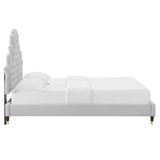 Gwyneth Tufted Performance Velvet Queen Platform Bed Light Gray MOD-6752-LGR