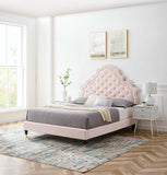 Gwyneth Tufted Performance Velvet Queen Platform Bed Pink MOD-6752-PNK