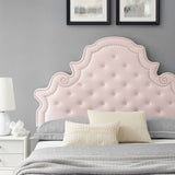 Gwyneth Tufted Performance Velvet Queen Platform Bed Pink MOD-6753-PNK