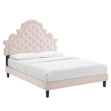 Gwyneth Tufted Performance Velvet Queen Platform Bed Pink MOD-6753-PNK