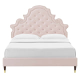 Modway Furniture Gwyneth Tufted Performance Velvet Full Platform Bed MOD-6758-PNK