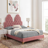 Alexandria Tufted Performance Velvet Queen Platform Bed Dusty Rose MOD-6763-DUS