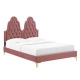 Alexandria Tufted Performance Velvet Queen Platform Bed Dusty Rose MOD-6763-DUS