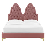 Alexandria Tufted Performance Velvet Queen Platform Bed Dusty Rose MOD-6763-DUS