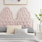 Alexandria Tufted Performance Velvet Queen Platform Bed Pink MOD-6763-PNK