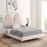 Alexandria Tufted Performance Velvet Queen Platform Bed Pink MOD-6763-PNK