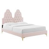 Alexandria Tufted Performance Velvet Queen Platform Bed Pink MOD-6763-PNK