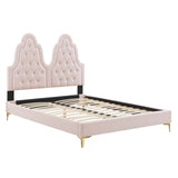 Alexandria Tufted Performance Velvet Queen Platform Bed Pink MOD-6763-PNK