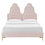 Alexandria Tufted Performance Velvet Queen Platform Bed Pink MOD-6763-PNK