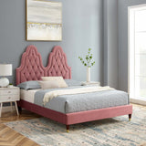 Alexandria Tufted Performance Velvet Queen Platform Bed Dusty Rose MOD-6764-DUS