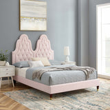 Alexandria Tufted Performance Velvet Queen Platform Bed Pink MOD-6764-PNK