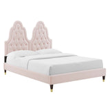 Alexandria Tufted Performance Velvet Queen Platform Bed Pink MOD-6764-PNK