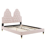 Alexandria Tufted Performance Velvet Queen Platform Bed Pink MOD-6764-PNK