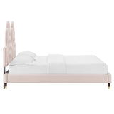 Alexandria Tufted Performance Velvet Queen Platform Bed Pink MOD-6764-PNK