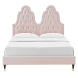 Alexandria Tufted Performance Velvet Queen Platform Bed Pink MOD-6764-PNK