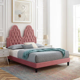 Alexandria Tufted Performance Velvet Queen Platform Bed Dusty Rose MOD-6765-DUS