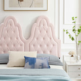 Alexandria Tufted Performance Velvet Queen Platform Bed Pink MOD-6765-PNK