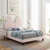 Alexandria Tufted Performance Velvet Queen Platform Bed Pink MOD-6765-PNK