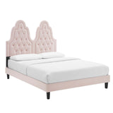 Alexandria Tufted Performance Velvet Queen Platform Bed Pink MOD-6765-PNK