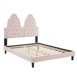 Alexandria Tufted Performance Velvet Queen Platform Bed Pink MOD-6765-PNK