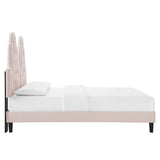 Alexandria Tufted Performance Velvet Queen Platform Bed Pink MOD-6765-PNK