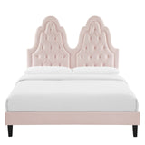 Alexandria Tufted Performance Velvet Queen Platform Bed Pink MOD-6765-PNK