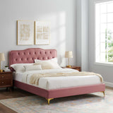 Modway Furniture Amber Performance Velvet Queen Platform Bed 0423 Dusty Rose MOD-6775-DUS