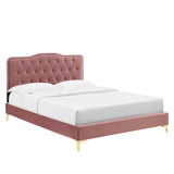 Modway Furniture Amber Performance Velvet Queen Platform Bed 0423 Dusty Rose MOD-6775-DUS