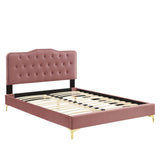 Modway Furniture Amber Performance Velvet Queen Platform Bed 0423 Dusty Rose MOD-6775-DUS