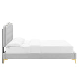 Modway Furniture Amber Performance Velvet Queen Platform Bed 0423 Light Gray MOD-6775-LGR