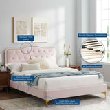 Modway Furniture Amber Performance Velvet Queen Platform Bed 0423 Pink MOD-6775-PNK