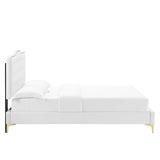 Modway Furniture Amber Performance Velvet Queen Platform Bed 0423 White MOD-6775-WHI