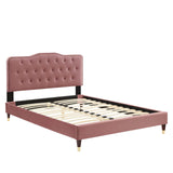 Modway Furniture Amber Performance Velvet Queen Platform Bed 0423 Dusty MOD-6776-DUS