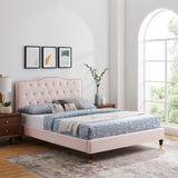 Modway Furniture Amber Performance Velvet Queen Platform Bed 0423 Pink MOD-6776-PNK