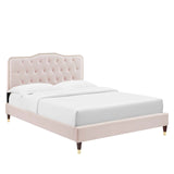 Modway Furniture Amber Performance Velvet Queen Platform Bed 0423 Pink MOD-6776-PNK