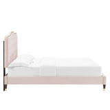 Modway Furniture Amber Performance Velvet Queen Platform Bed 0423 Pink MOD-6776-PNK