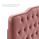 Modway Furniture Amber Tufted Performance Velvet Twin Platform Bed 0423 Dusty MOD-6778-DUS
