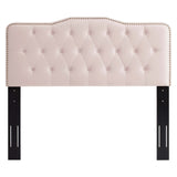 Modway Furniture Amber Tufted Performance Velvet Twin Platform Bed 0423 Pink MOD-6778-PNK